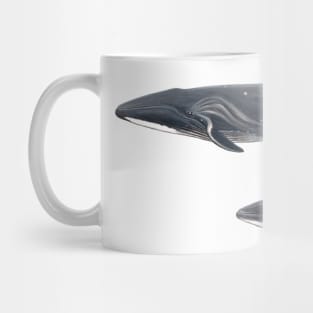 Sei whale Mug